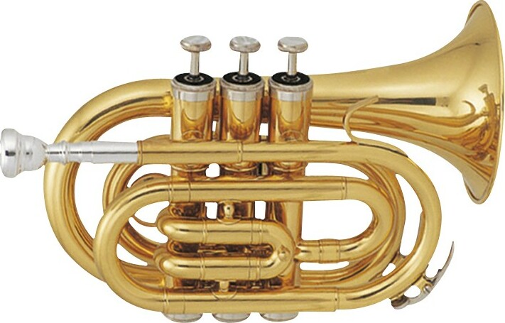 Sml Tp50 De Poche Sib Vernie - Trumpet of study - Main picture