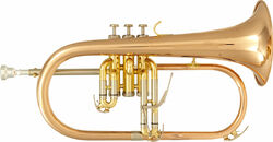 Study flugelhorn Sml BU600