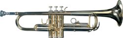 Professional trumpet Sml TP300