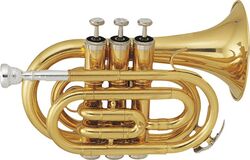 Trumpet of study Sml TP50 - Laiton verni