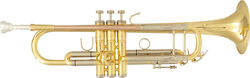 Trumpet of study Sml TP500