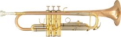 Trumpet of study Sml Trompette Sib TP600