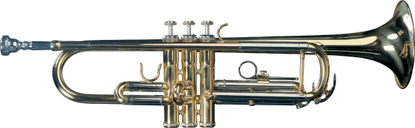 Professional trumpet Sml TP300
