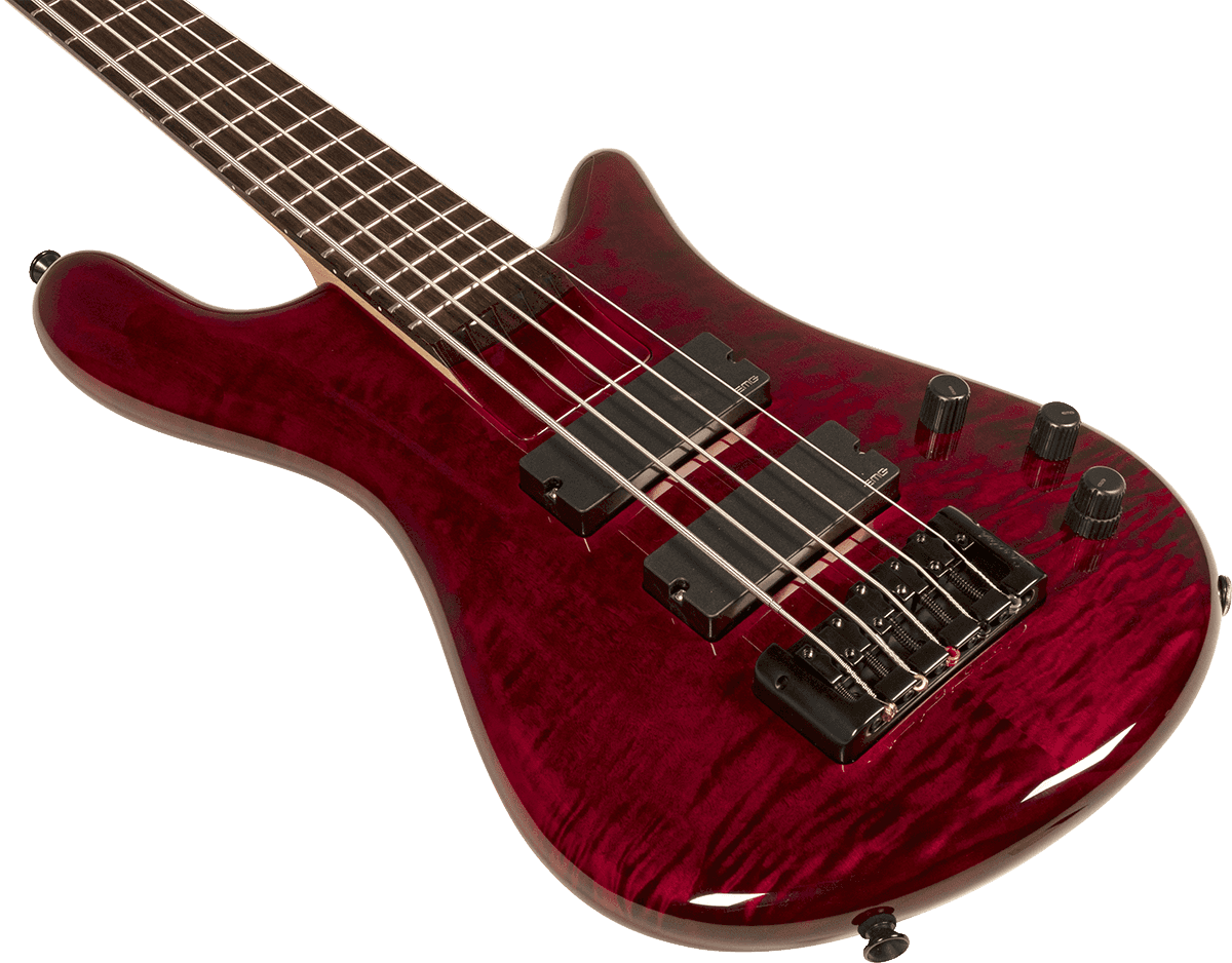 Spector Bantam 5c Diapason Court Active Emg Rw - Black Cherry - Solid body electric bass - Variation 1