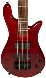 Solid body electric bass Spector                        Bantam 5 - Black cherry