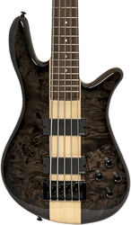 Solid body electric bass Spector                        Dan Briggs NS-2000/5 - Black/walnut stain