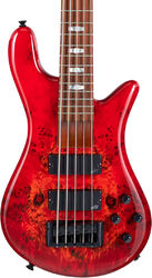 Solid body electric bass Spector                        NS Eurobolt 5 - Inferno red gloss