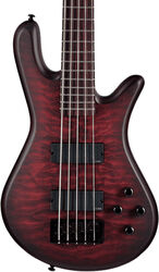 Solid body electric bass Spector                        NS Pulse II 5 - Black cherry matte