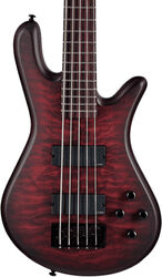 Solid body electric bass Spector NS Pulse II 5 - Black cherry matte