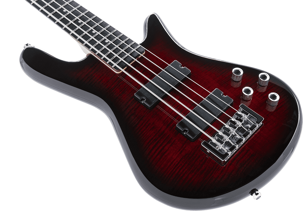 Spector Legend Serie Standard 5 Hh Eb - Black Cherry - Solid body electric bass - Variation 2