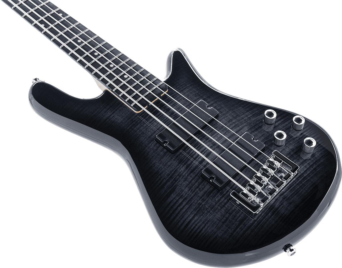 Spector Legend Serie Standard 5 Hh Eb - Black Stain - Solid body electric bass - Variation 2