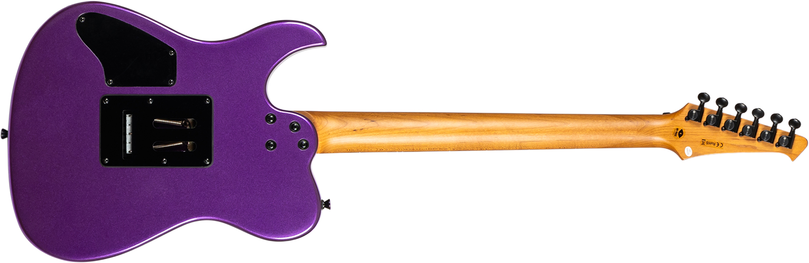 Spira Guitars T420 Pp 2h Fr Eb - Metallic Purple - Tel shape electric guitar - Variation 1