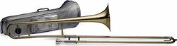 Trombone of study Stagg 77TASC