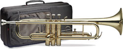 Professional trumpet Stagg 77TSC