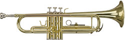 Trumpet of study Stagg TR215S