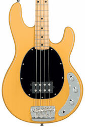 Solid body electric bass Sterling by musicman Stingray Classic RAY24CA (MN) - Butterscotch