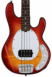 Solid body electric bass Sterling by musicman Stingray Ray34FM (RW) - Heritage cherry burst