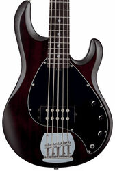 Solid body electric bass Sterling by musicman SUB Ray5 (JAT) - Walnut satin