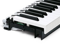 Studiologic Acuna 88 - Controller-Keyboard - Variation 1