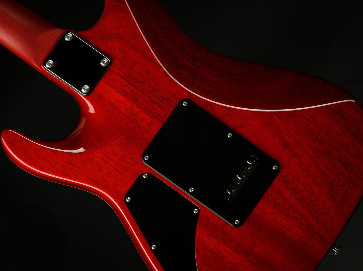 Suhr Pete Thorn Standard 01-sig-0007 Signature 2h Trem Rw - Black - Str shape electric guitar - Variation 7