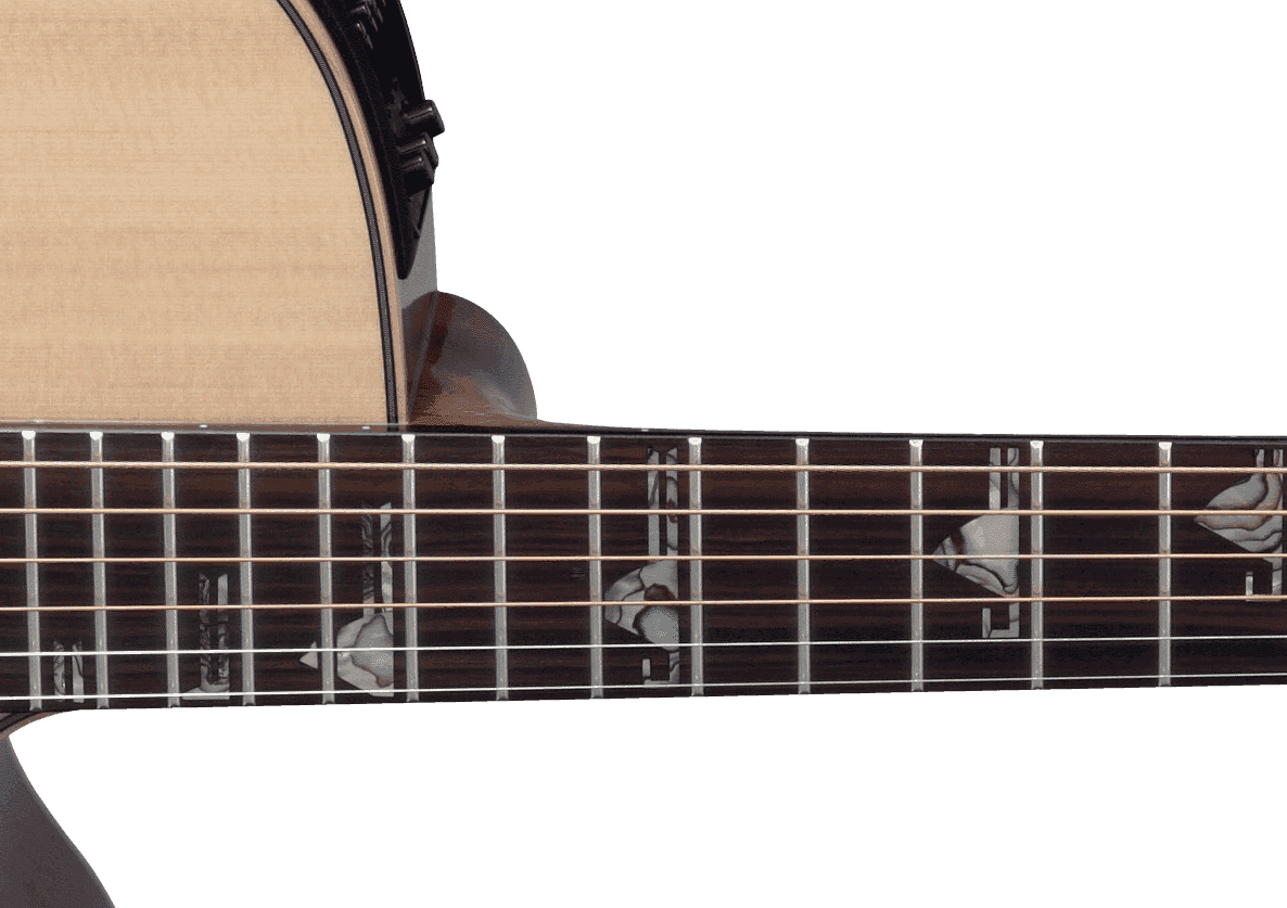 Takamine Dsf48c Nex Jap Epicea Palissandre Eb Ctf2n - Natural - Folk guitar - Variation 2