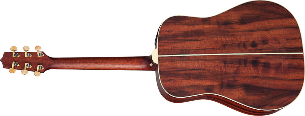 Takamine Fn15 Ar Ltd Dreadnought Cedre Palissandre Rw - Natural Satin - Electro acoustic guitar - Variation 1