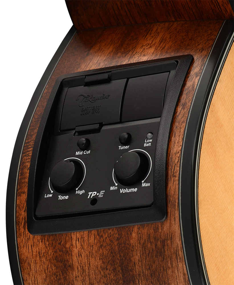 Takamine Gd10ce-ns Dreadnought Cw Epicea Acajou Tpe - Natural - Electro acoustic guitar - Variation 3
