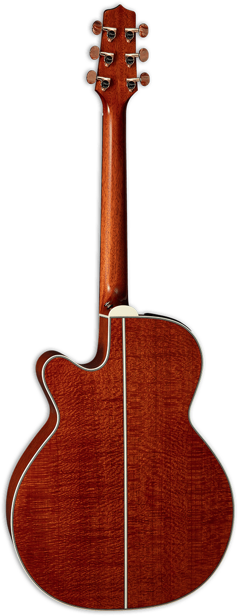 Takamine Nex Santa Fe 30th Anniversary Cw Cedre Chene Eb - Natural - Electro acoustic guitar - Variation 1