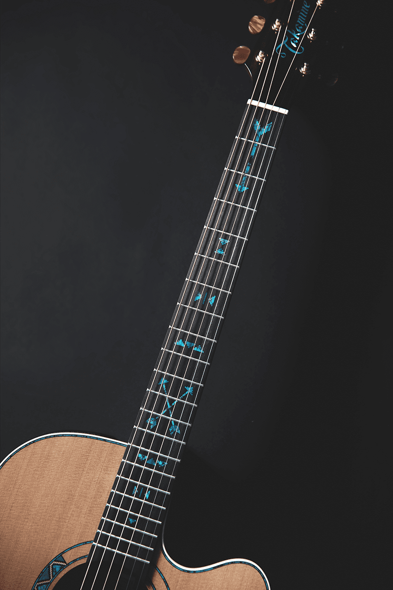 Takamine Nex Santa Fe 30th Anniversary Cw Cedre Chene Eb - Natural - Electro acoustic guitar - Variation 3