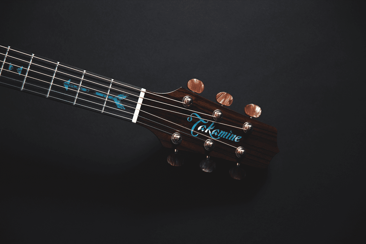 Santa fe guitar price hotsell