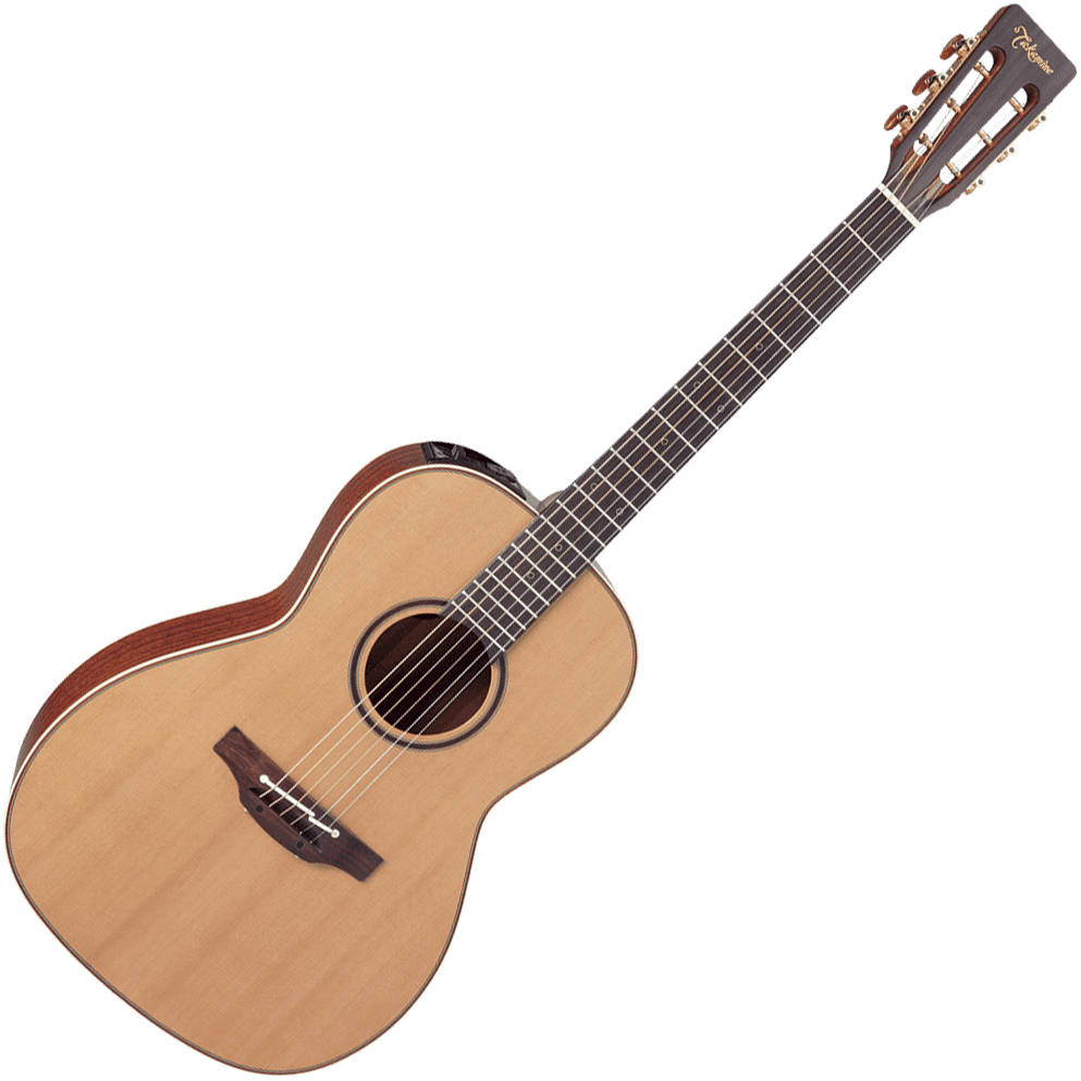 Takamine P3NY Pro Japan - natural gloss Electro acoustic guitar
