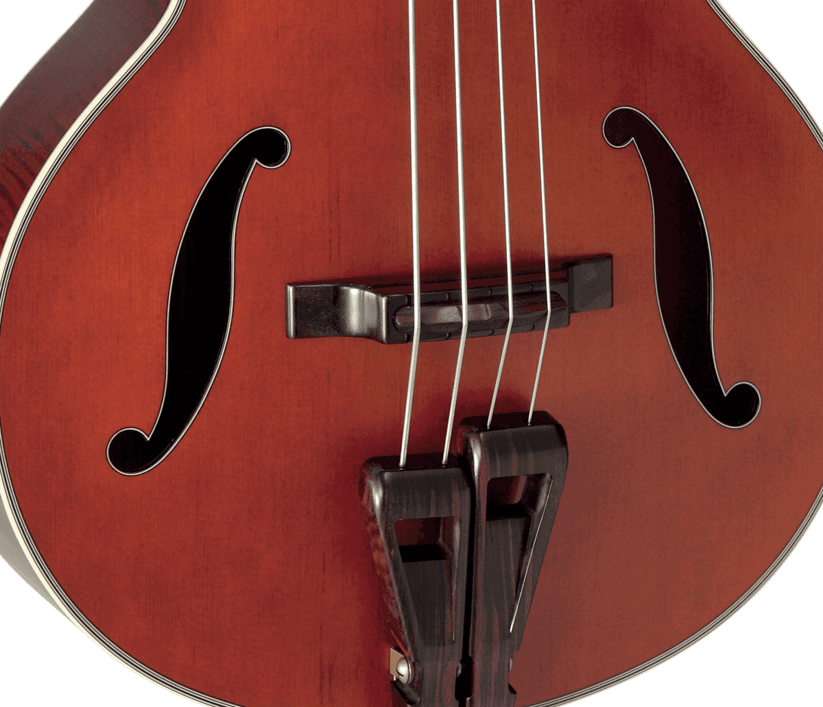 Takamine TB10 Bass (Japan) red stain Acoustic bass brown