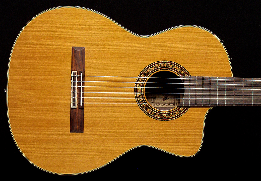 Takamine tc132sc for on sale sale