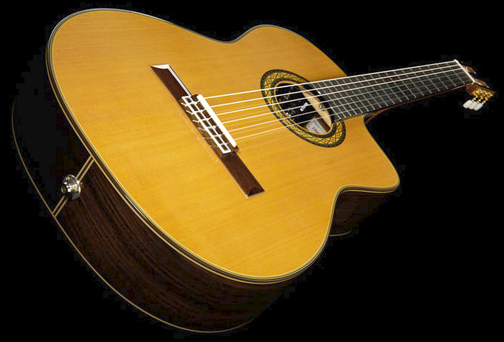 Takamine Th5c Hirade Japon Cw Cedre Palissandre Rw Ctp-3 - Natural Gloss - Classical guitar 4/4 size - Variation 2