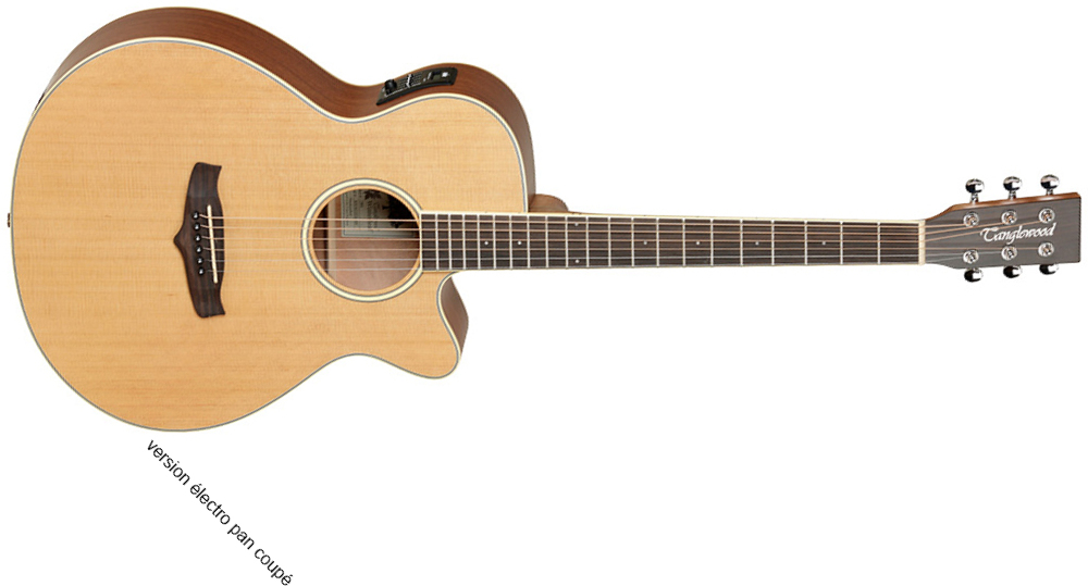 Tanglewood Tw9 Winterleaf Super Folk Auditorium Cedre Acajou Tec - Natural Satin - Acoustic guitar & electro - Main picture