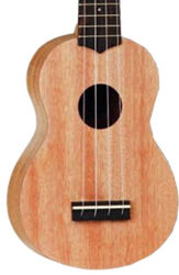 Ukulele Tanglewood TUMSTC Pack Concert - Natural