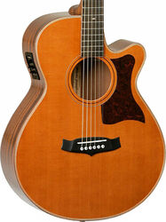 Acoustic guitar & electro Tanglewood TW45 H E Heritage