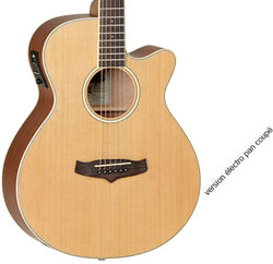 Folk guitar Tanglewood TW9 Winterleaf - Natural satin