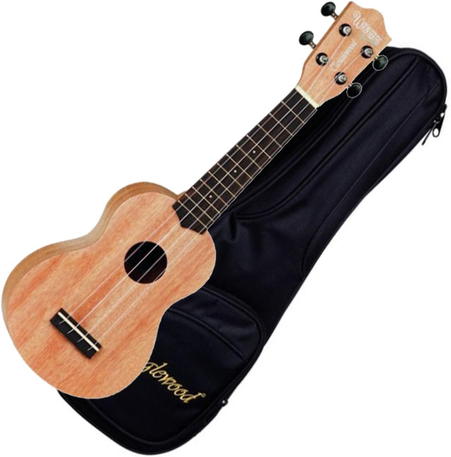 Tanglewood Tumstc Pack Concert - Natural - Ukulele - Variation 1