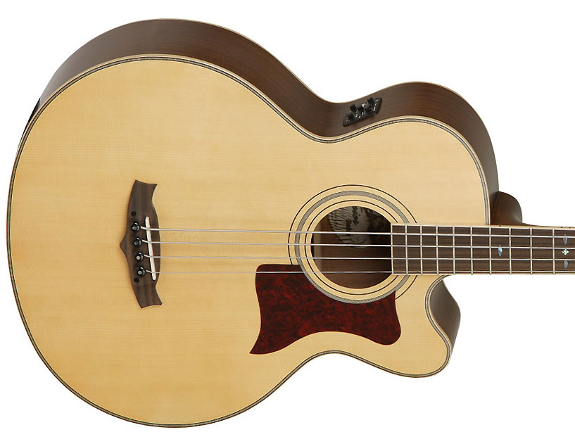 Tanglewood Tw155a Bass Premier Super Jumbo Cw - Natural Satin - Acoustic bass - Variation 2
