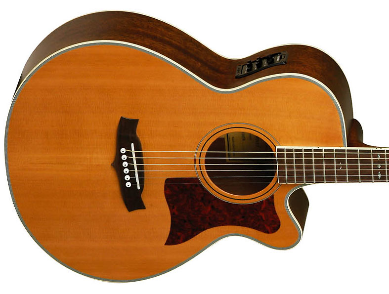 Tanglewood Tw45 Ns E Sundance Super Folk 000 Cw Cedre Acajou - Natural Satin - Electro acoustic guitar - Variation 2