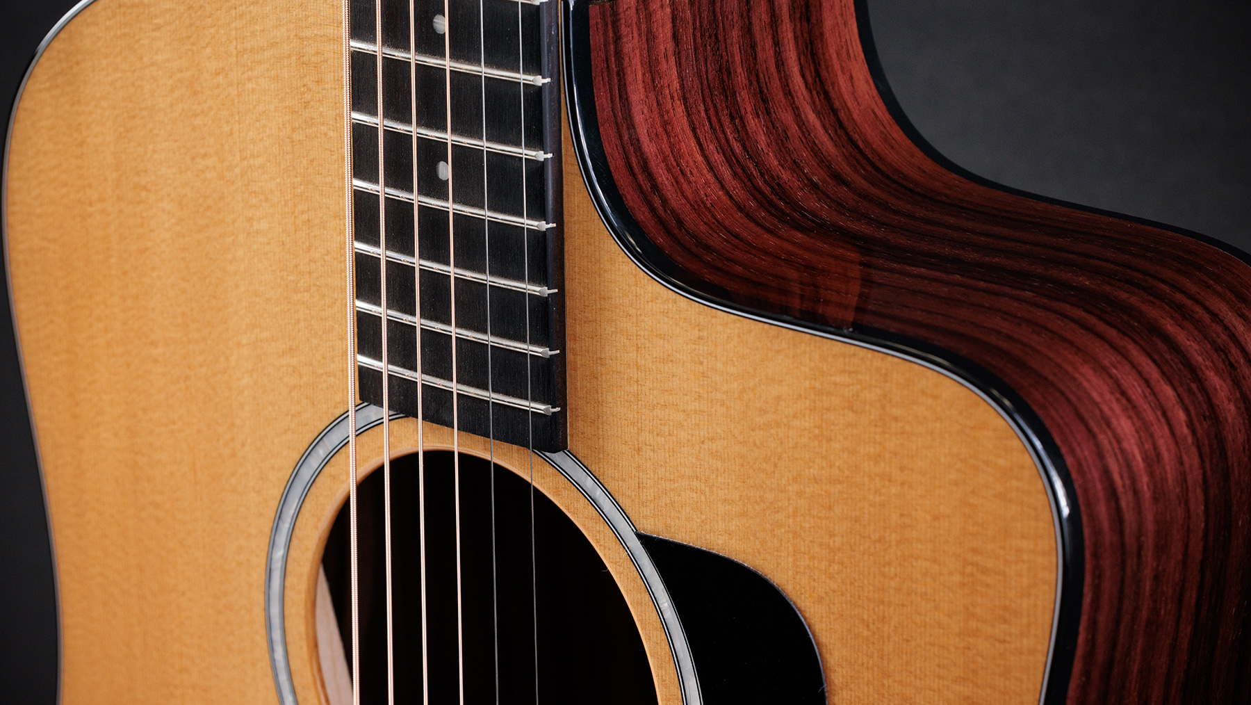 Taylor 210ce Plus 2024 Dreadnought Cw Epicea Palissandre Eb Es2 - Natural - Folk guitar - Variation 2
