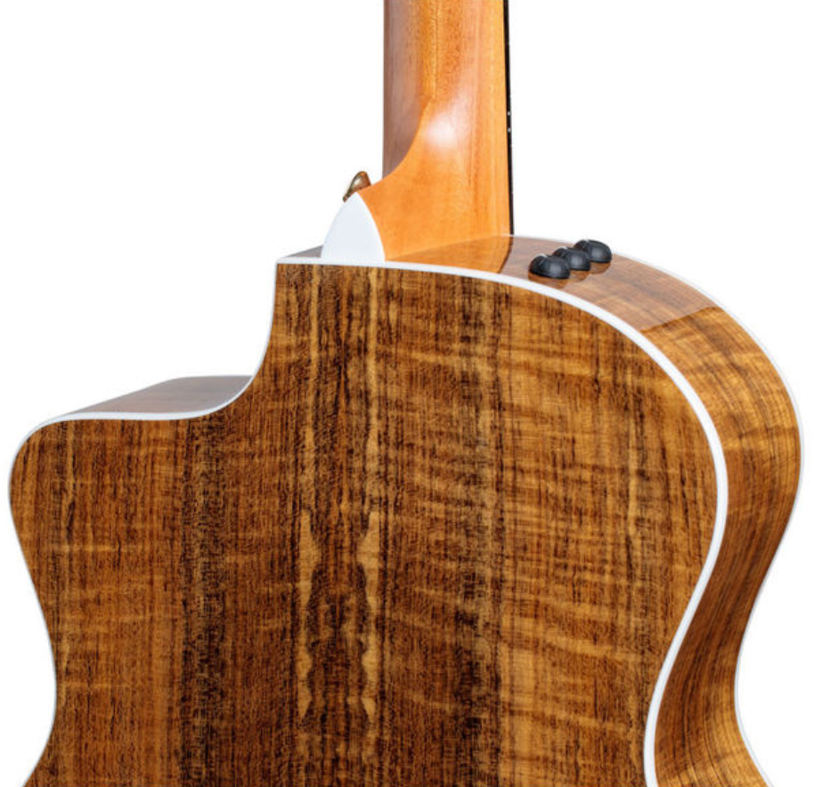 Taylor 214ce-fo Dlx Grand Auditorium Cw Epicea Ovangkol Es2 - Natural - Electro acoustic guitar - Variation 3