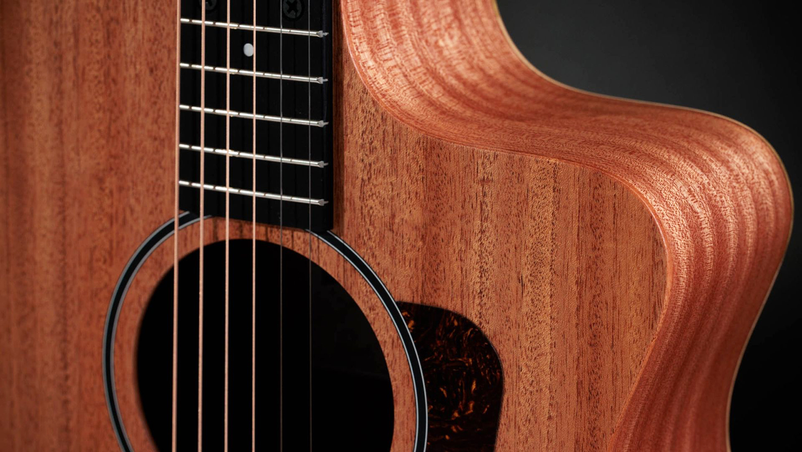 Taylor 24ce Grand Auditorium Cw Tout Sapele Eb - Natural Matte - Folk guitar - Variation 3