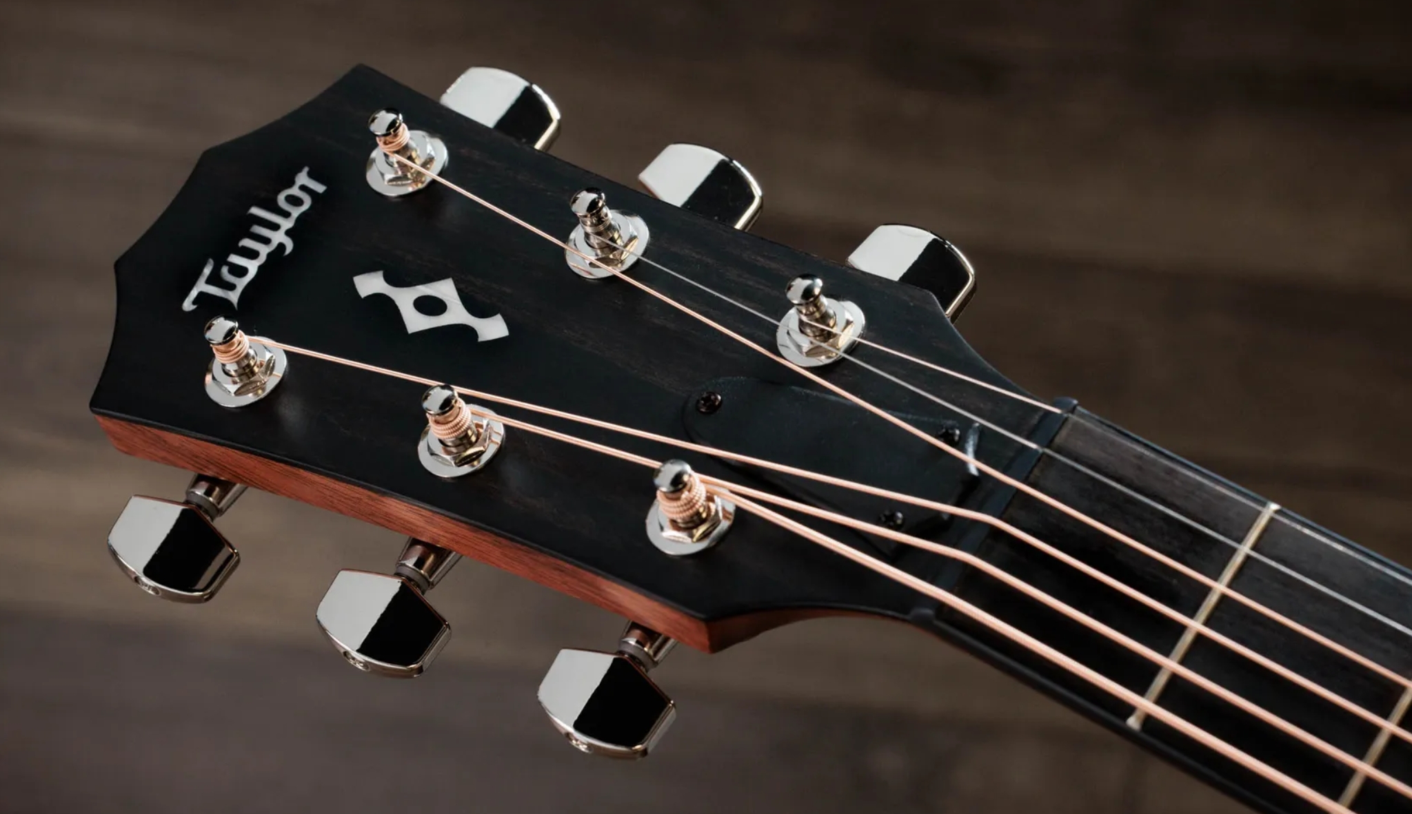 Taylor 412ce Next Gen. Grand Concert Cw Shsc Epicea Palissandre Eb Claria - Natural - Folk guitar - Variation 5
