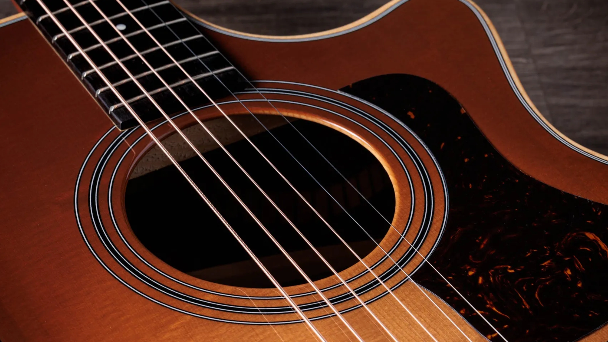 Taylor 414ce Studio Special Edition Grand Auditorium Cw Epicea Palissandre Eb Es2 - Honeyburst - Folk guitar - Variation 3