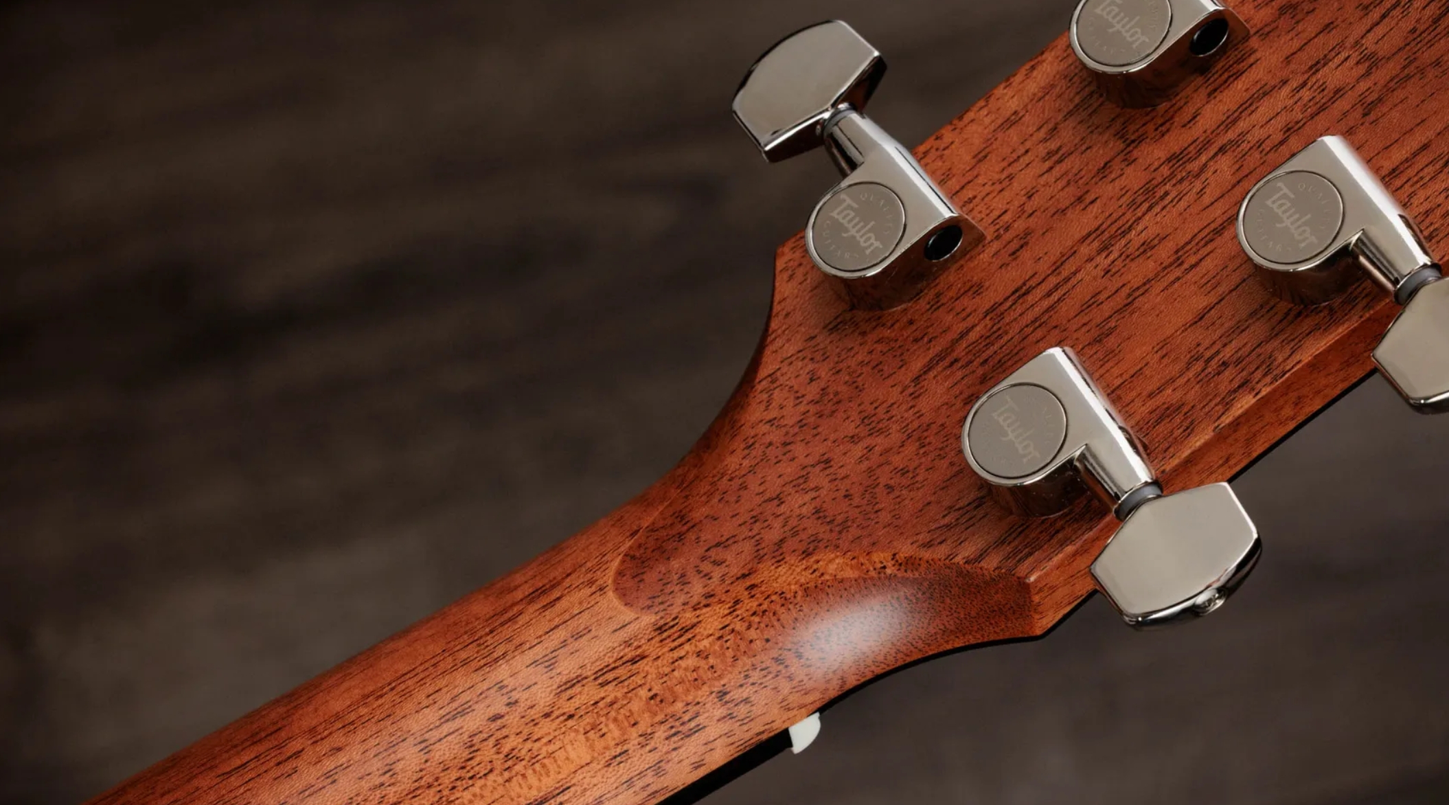 Taylor 510e Gold Label Dreadnought Epicea Acajou Eb - Natural - Folk guitar - Variation 9