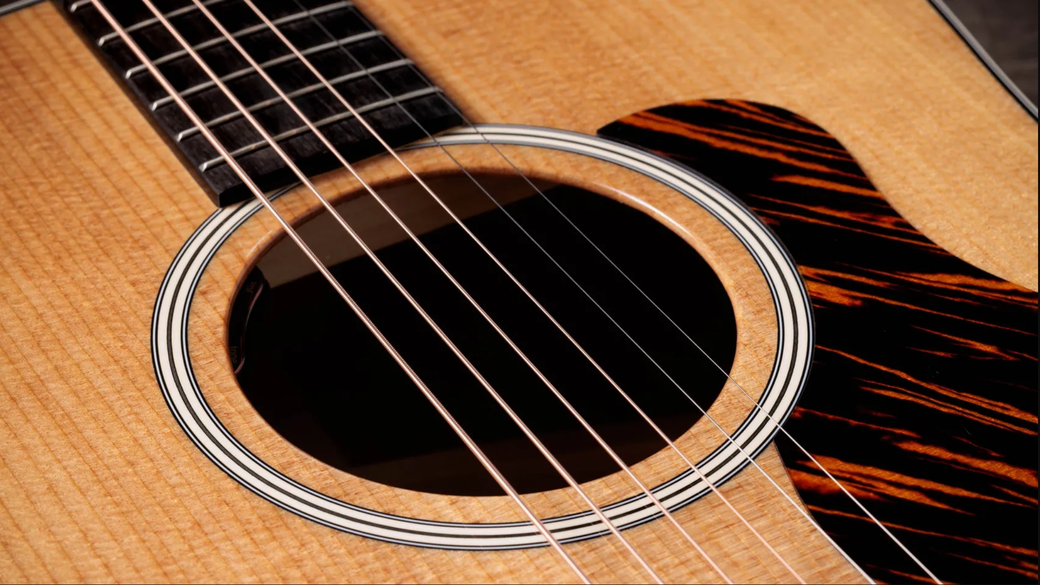 Taylor 510e Gold Label Dreadnought Epicea Acajou Eb - Natural - Folk guitar - Variation 2