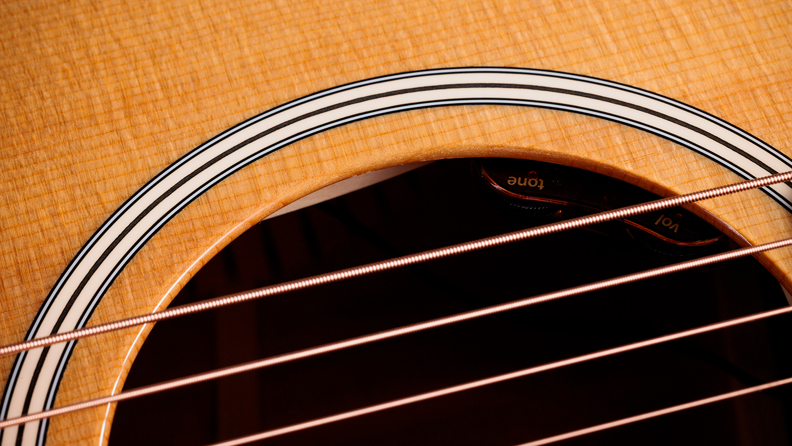 Taylor 512e Gold Label Grand Concert Cw Epicea Acajou Eb Lr Baggs - Natural - Folk guitar - Variation 5