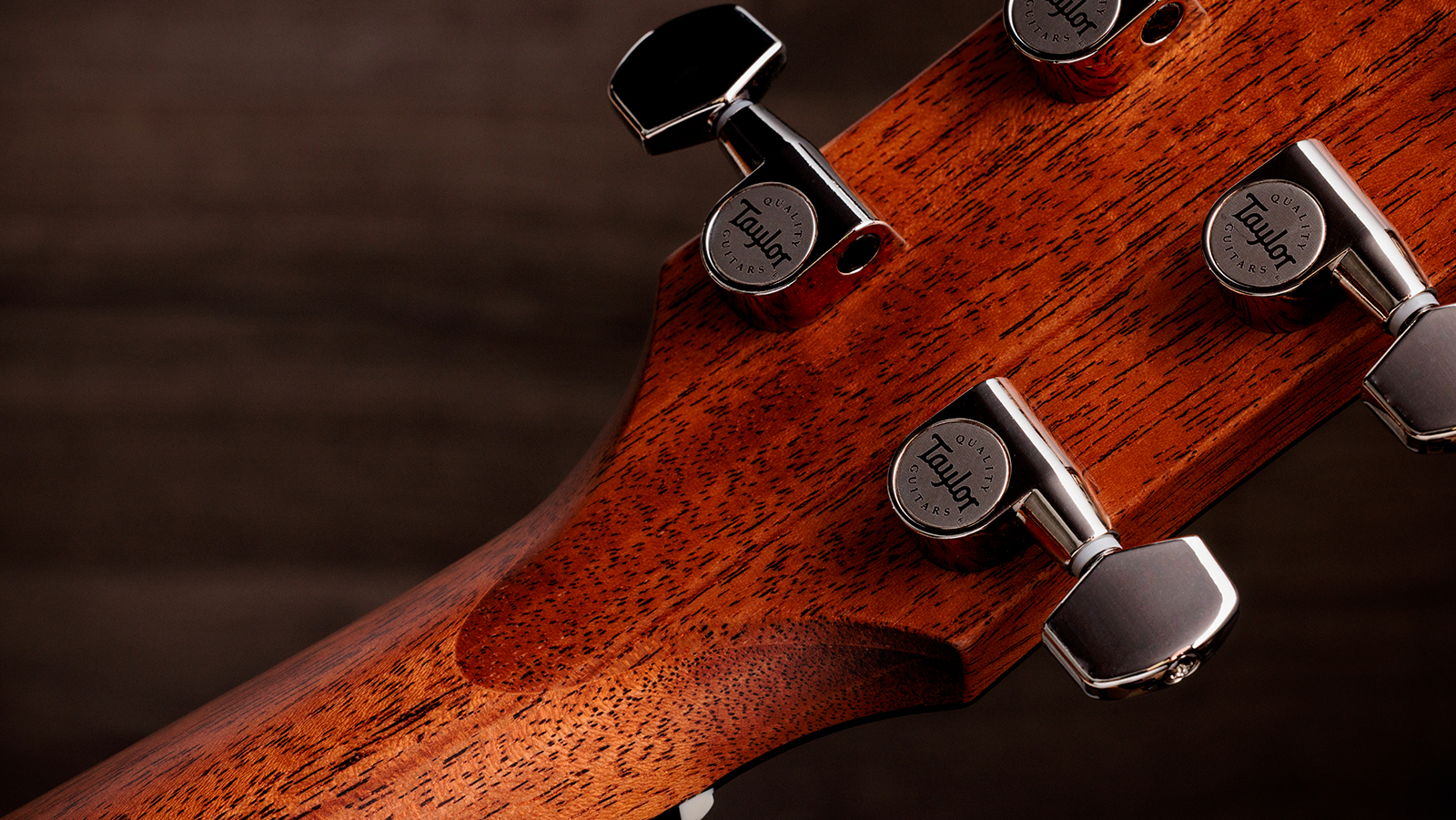 Taylor 512e Gold Label Grand Concert Cw Epicea Acajou Eb Lr Baggs - Natural - Folk guitar - Variation 8